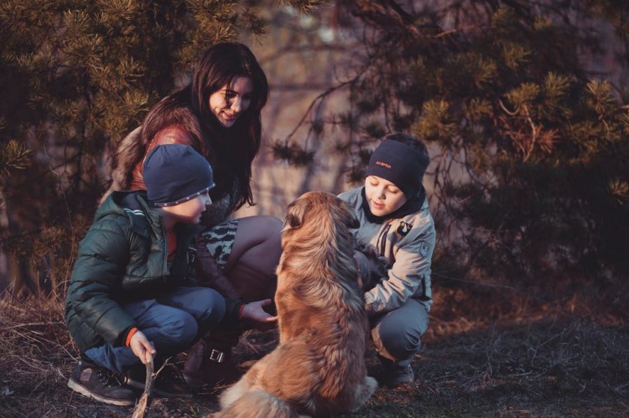 effects of divorce on children